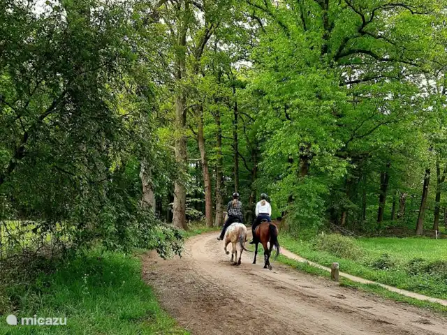 Zandpad bij het huisje Boszicht. Hier kun je heerlijk wandelen naar 't Hilgelo!